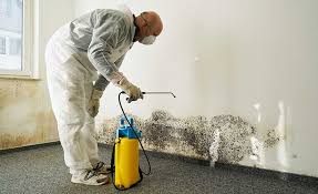 Best Commercial Mold Inspection  in Eureka, KS